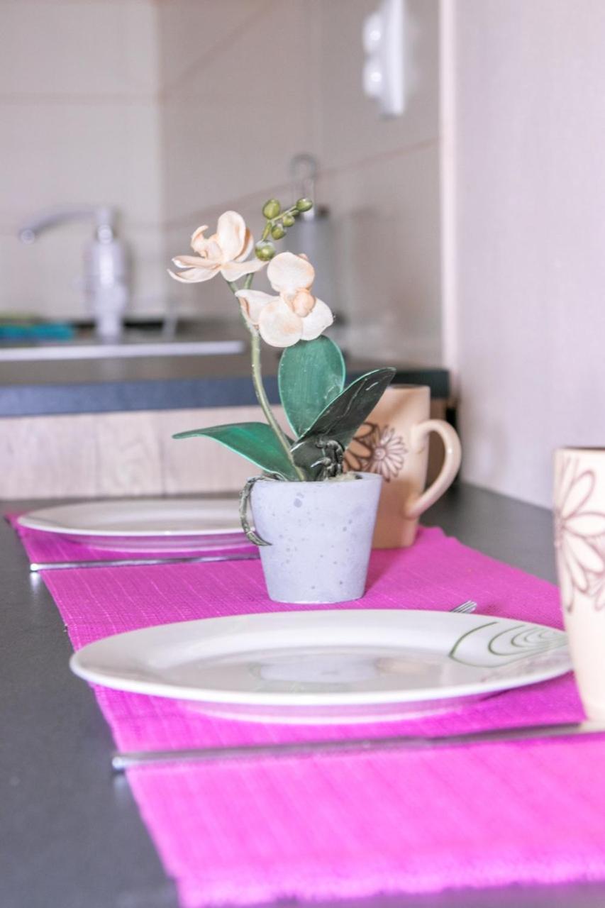 Jug Apartament *