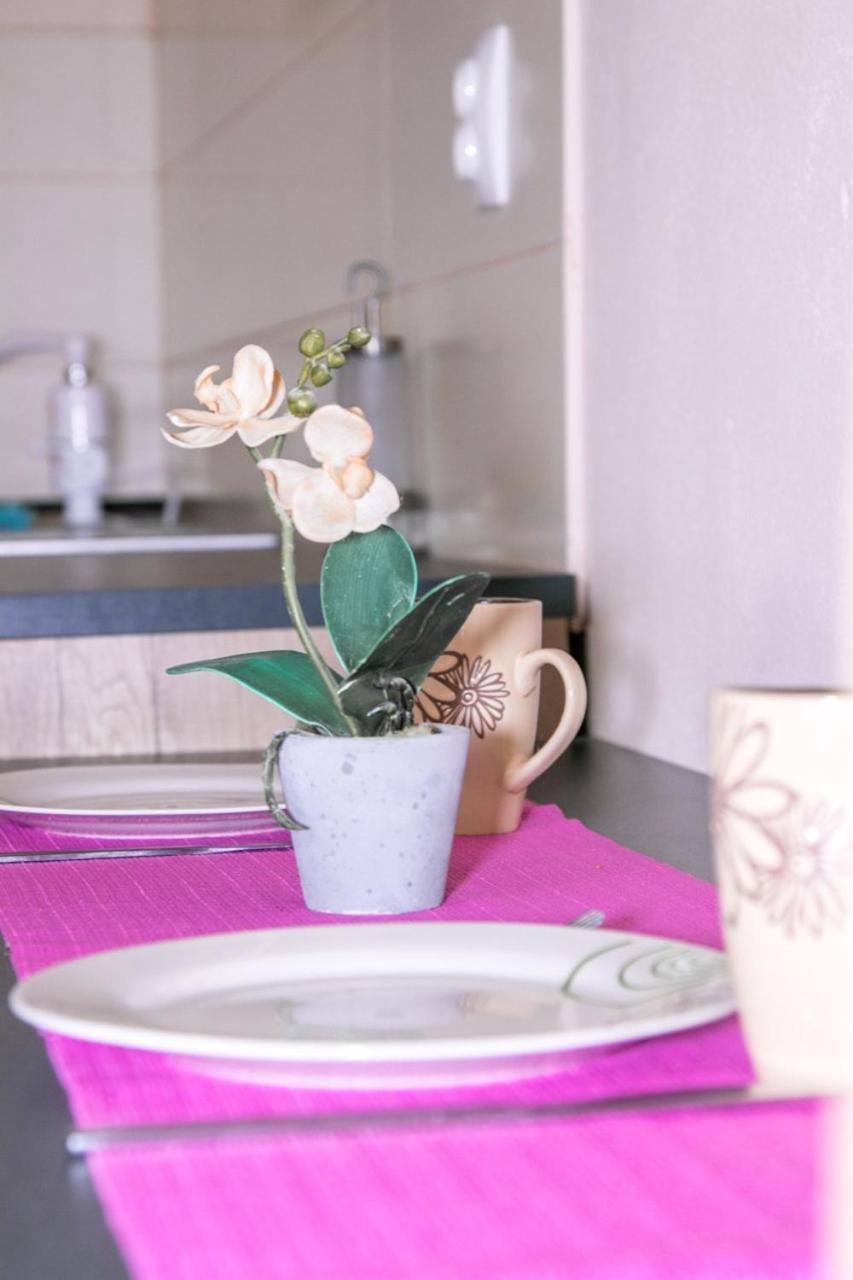 Jug Apartament