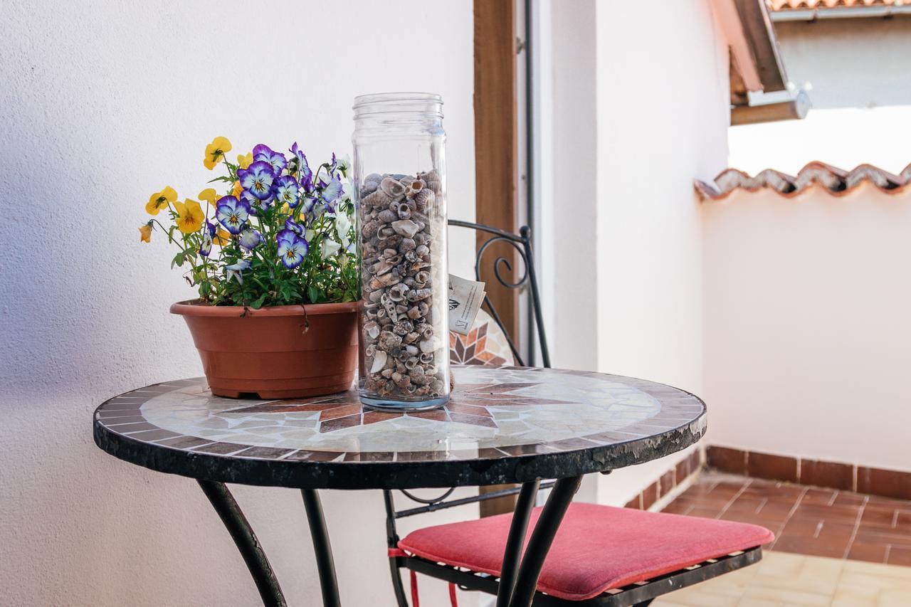 Jug Apartament